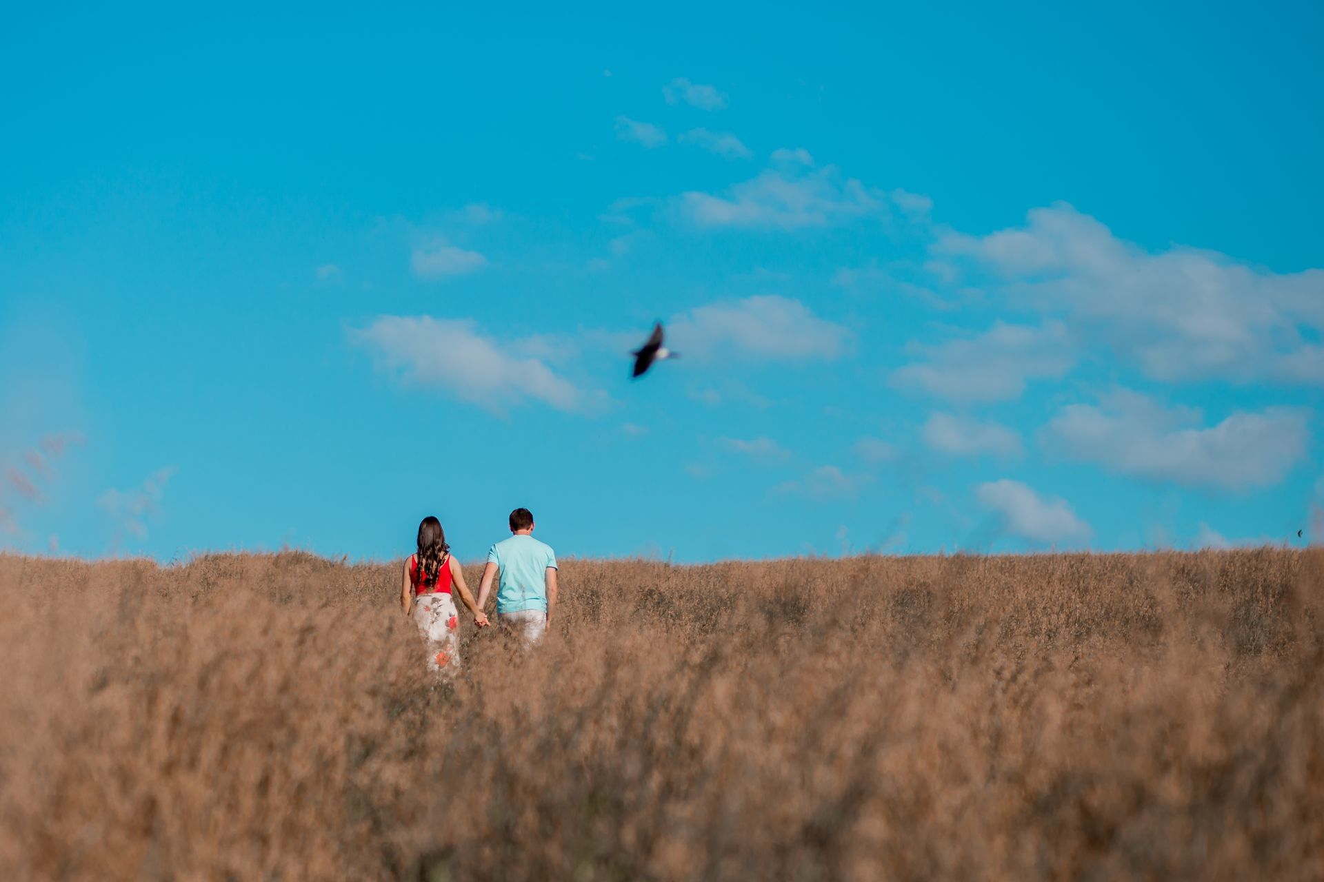 Foto O dia deles, Rosane & Edivan. Foto O dia deles, Rosane & Edivan. - Imagem 1